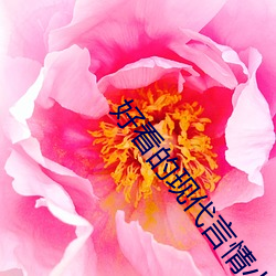 好看的(的)现(現)代言情小说