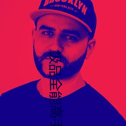 極品全能高手