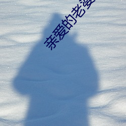 親愛的老婆
