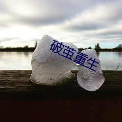 破茧重生