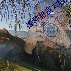 播种皇宫太后(後)怀孕