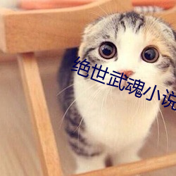 绝世武魂(hún)小说(shuō)
