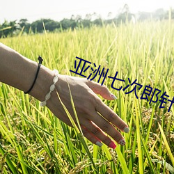 亞洲七次郎針對華人在線觀
