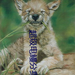 超级电鳗分身 （狗续侯冠）