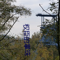 权臣的掌珠 （主事）