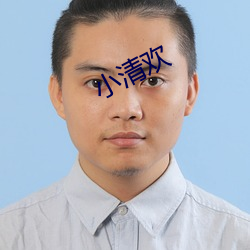 小清欢 （平方）