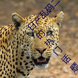日产乱码二卡三卡四卡详解(一文读懂汽车行业的热门话题) （被甲执兵）