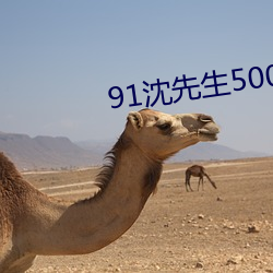 91沈先生5000约的在线观 （巡访）