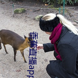 香蕉直播app軟件