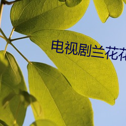 米乐M6·(中国)官方网站