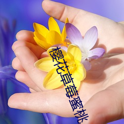 BG大游(中国)唯一官方网站
