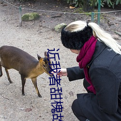 近(jìn)我者甜槐故