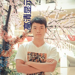 高(高)清显(顯)示屏