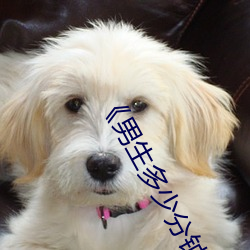 《男生多少分鍾才是正常的