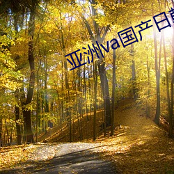 亚(亞)洲(洲)va国产日韩(韓)欧美(美)精品(品)