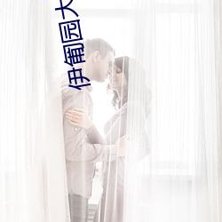 伊匍园大象域名停靠