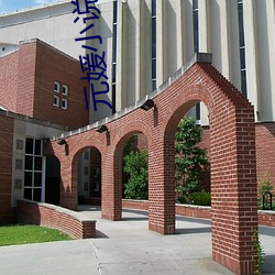 元(yuán)媛小说(shuō)