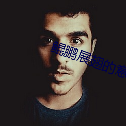 鲲鹏展(zhǎn)翅的(de)意思(sī)