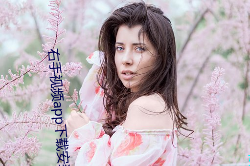 918博天堂·(中国)手机版客户端