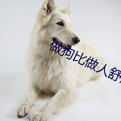 鸿运国际·(中国)会员登录入口