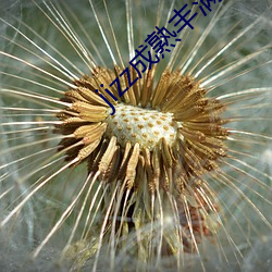 九游会登录j9入口 - 中国官方网站 | 真人游戏第一品牌