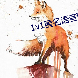 1v1匿名语音聊天软件