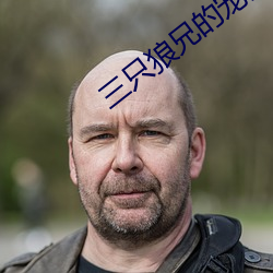 三只狼兄的寵妻