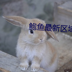鲍鱼最新区域2021 （年深日久
