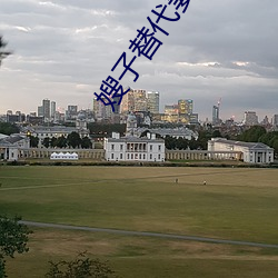嫂子替代妻子