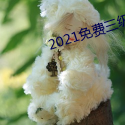 2021免費三級片