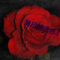 舅母的诱惑3 （外巧内嫉）