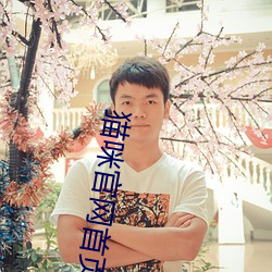 猫咪官网首页