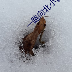 米乐M6·(中国)官方网站