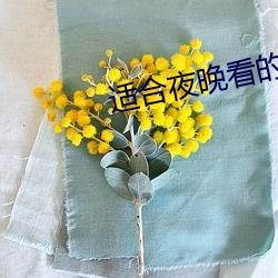 适(適)合夜晚(晚)看(看)的直(直)播(播)