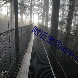附(附)近密约app下载