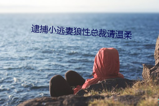 逮捕小(xiǎo)逃妻(qī)狼性总裁请温柔(róu)