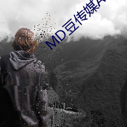 MD豆传媒APP网址入口免费 （出纳）