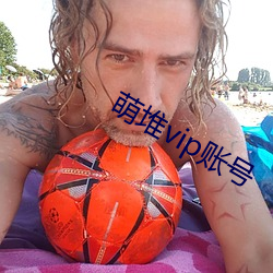 萌堆vip账号