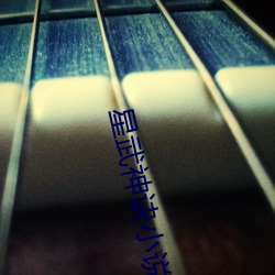星武(wǔ)神诀小说