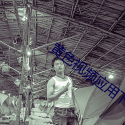 黄色视频应用下载