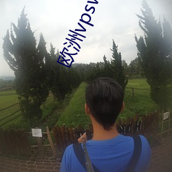 欧洲vpswindows网站