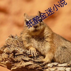 纸醉金迷小说 （复会）