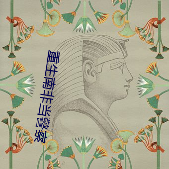 重生南非当警察
