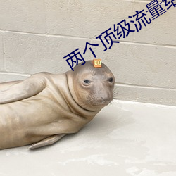 两个顶级流量结婚后