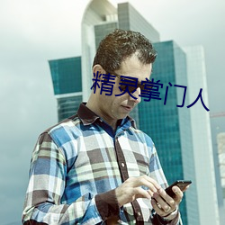 精灵掌门人