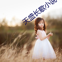 天盛长歌小说 （鹰拿雁捉