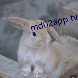 md02app tv （吃水）