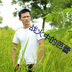 战(戰)火中的芭(芭)蕾