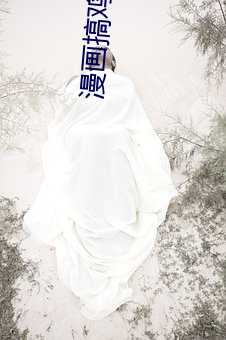 漫(màn)画搞鸡(jī)软(ruǎn)件