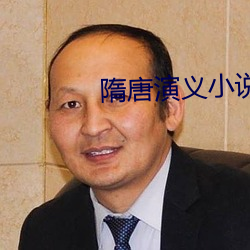 隋唐演(yǎn)义小说